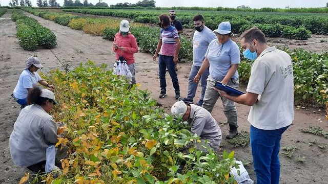 Lee más sobre el artículo Llamado a Concurso de Oposición y Méritos Auxiliar de Campo Esc. «F», Grado 1 – LISTA DE INHABILITADOS – HABILITADOS – Fecha, hora y lugar de la Prueba de Oposición y Material de Estudio